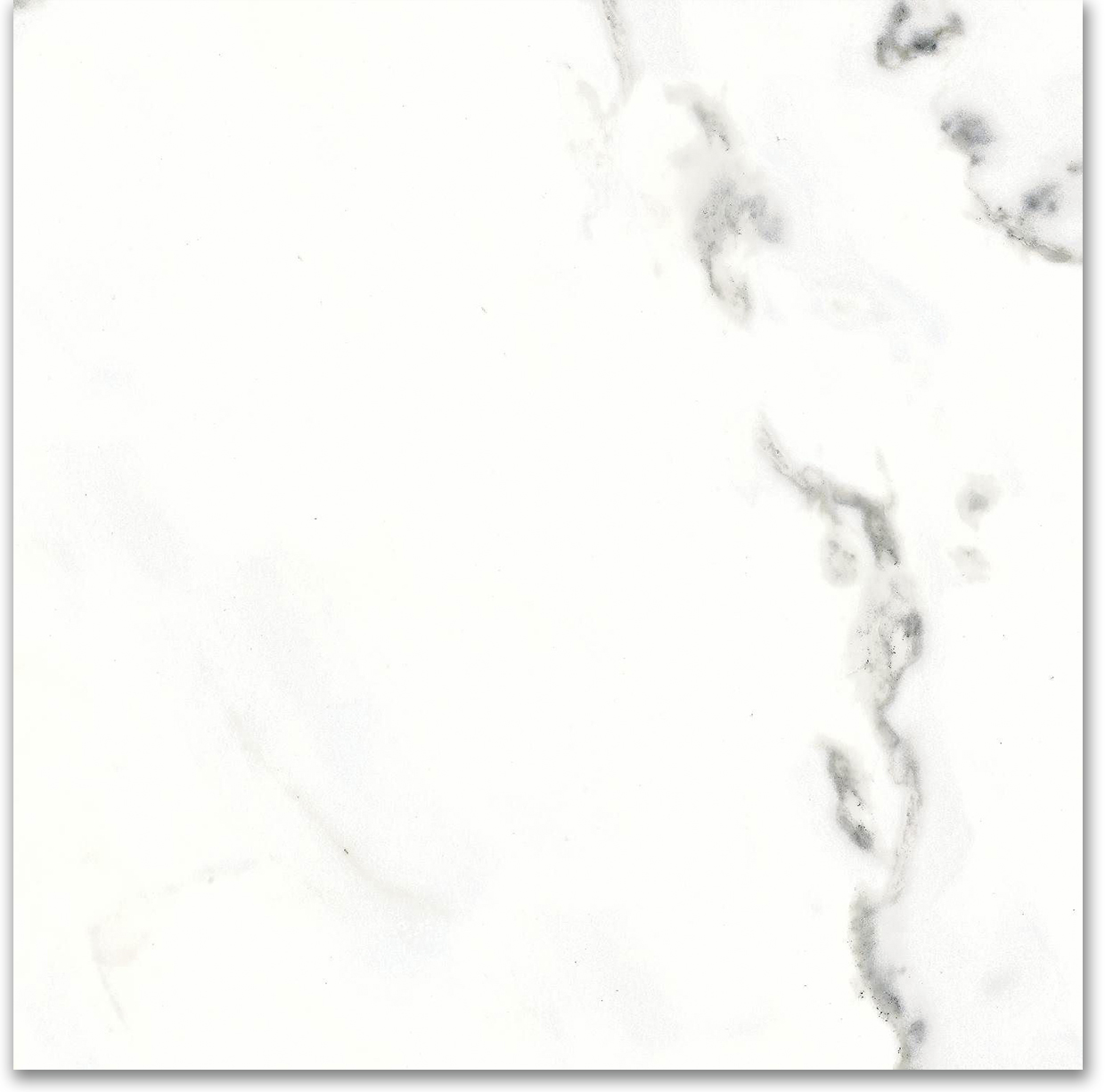18X18F Calacatta | Quality Carpet Inc.