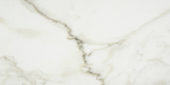 Amalfi Calacatta Honed 12X24 | Quality Carpet Inc.