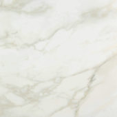 Amalfi Calacatta Honed 32X32 | Quality Carpet Inc.