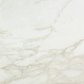 Amalfi Calacatta Polished 24X24 | Quality Carpet Inc.