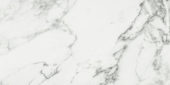Arabescato Verona Honed 12X24 | Quality Carpet Inc.