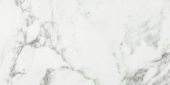 Arabescato Verona Honed 24X48 | Quality Carpet Inc.