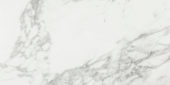 Arabescato Verona Polished 24X48 | Quality Carpet Inc.