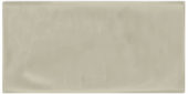 Autumn Tan 3X6 Glossy | Quality Carpet Inc.