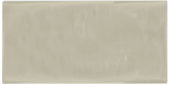 Autumn Tan 3X6 Glossy | Quality Carpet Inc.