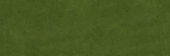 Barcelona 2x6" Olive | Quality Carpet Inc.