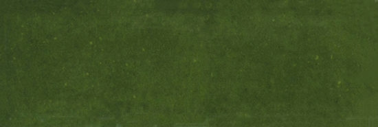 Barcelona 2x6" Olive | Quality Carpet Inc.