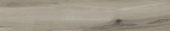 Champlain Grey 6X36 | Quality Carpet Inc.