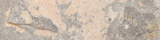 Chitwan Gris 3X12 Bullnose | Quality Carpet Inc.