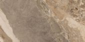 Dynasty Taupe 12X24 | Quality Carpet Inc.