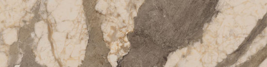 Dynasty Taupe 3X12 Bullnose | Quality Carpet Inc.