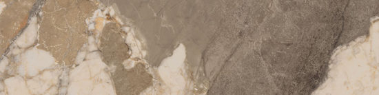 Dynasty Taupe 3X12 Bullnose | Quality Carpet Inc.