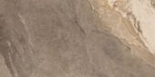 Dynasty Taupe Polished/Matte 24X48 | Quality Carpet Inc.