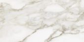 Florence 12X24F Calacatta Matte | Quality Carpet Inc.