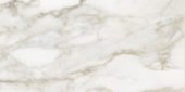 Florence 12X24F Calacatta Matte | Quality Carpet Inc.
