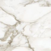 Florence 13X13F Calacatta Matte | Quality Carpet Inc.