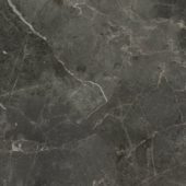 Florence 20X20F Carbon Matte | Quality Carpet Inc.