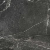 Florence 20X20F Carbon Matte | Quality Carpet Inc.