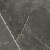 Florence 20X20F Carbon Matte | Quality Carpet Inc.