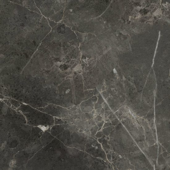 Florence 20X20F Carbon Matte | Quality Carpet Inc.