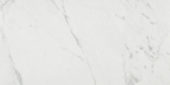 Milano Statuario Honed 24X48 | Quality Carpet Inc.
