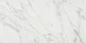 Milano Statuario Honed 24X48 | Quality Carpet Inc.