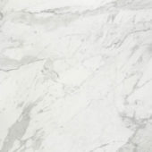 Milano Statuario Honed 32X32 | Quality Carpet Inc.