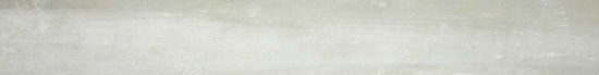 Pegasus Grigio 3X24 Bullnose | Quality Carpet Inc.