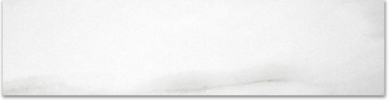 Polished 3X12 Infatuation Bullnose | Quality Carpet Inc.