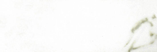 Polished Adoration 10.5X32 | Quality Carpet Inc.