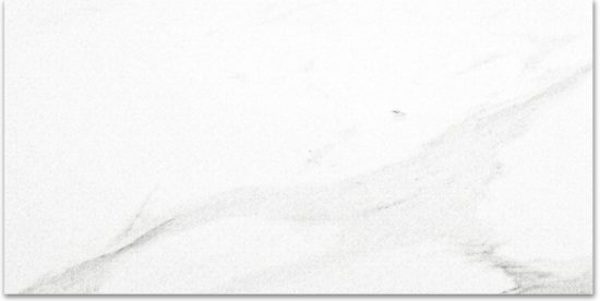 Polished Infatuation 16X32 | Quality Carpet Inc.