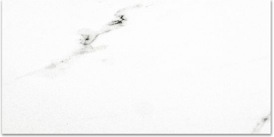 Polished Infatuation 16X32 | Quality Carpet Inc.