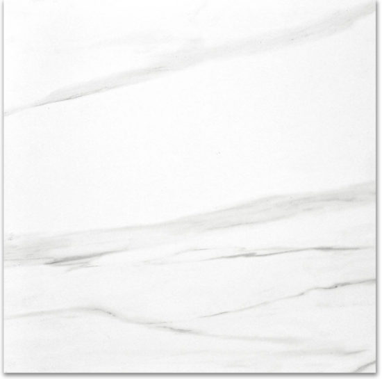 Polished Infatuation 24X24 | Quality Carpet Inc.