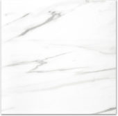 Polished Infatuation 24X24 | Quality Carpet Inc.