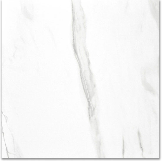 Polished Infatuation 24X24 | Quality Carpet Inc.
