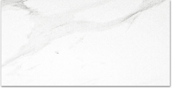 Polished Infatuation 24X48 | Quality Carpet Inc.