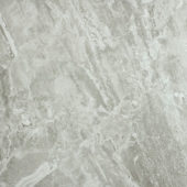 Polished Inspiration 24X24 | Quality Carpet Inc.