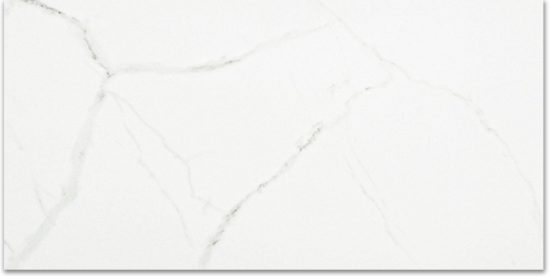 Polished Love 12X24 | Quality Carpet Inc.