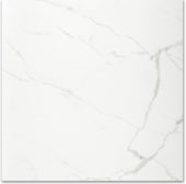 Polished Love 24X24 | Quality Carpet Inc.