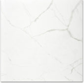 Polished Love 24X24 | Quality Carpet Inc.