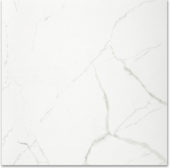 Polished Love 24X24 | Quality Carpet Inc.