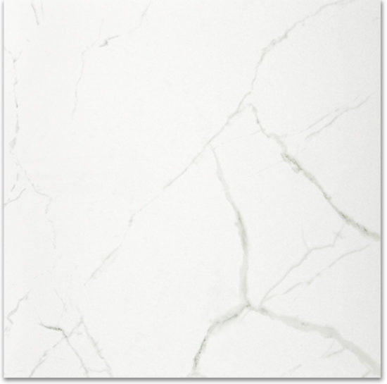 Polished Love 24X24 | Quality Carpet Inc.