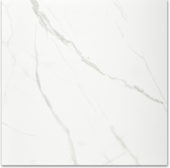 Polished Love 24X24 | Quality Carpet Inc.