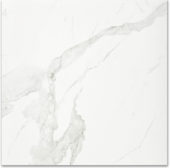 Polished Love 24X24 | Quality Carpet Inc.