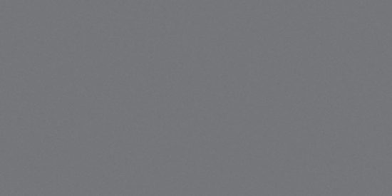 Polished Tokyo 12X24 | Quality Carpet Inc.