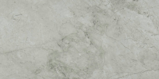 Roma Argento Polished 12X24 | Quality Carpet Inc.