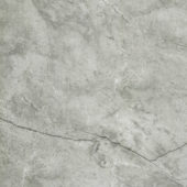 Roma Argento Polished 32X32 | Quality Carpet Inc.