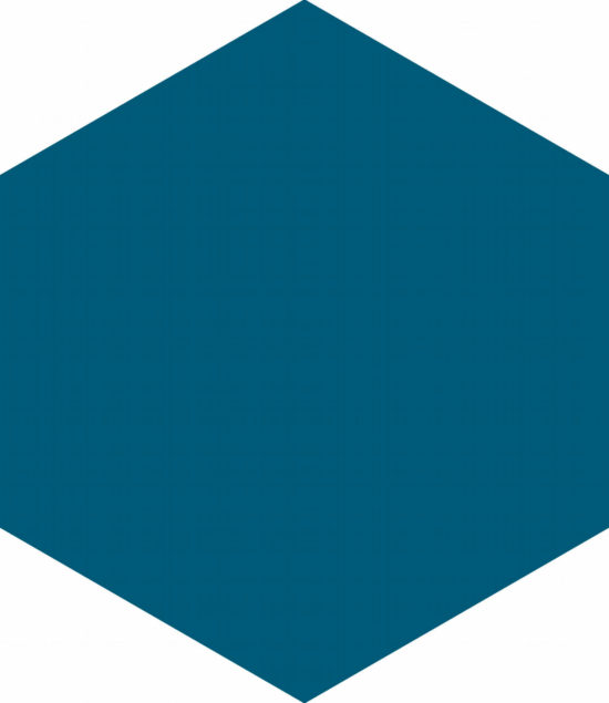 Ronda 5.5X6.3” Navy Blue Hexagon | Quality Carpet Inc.