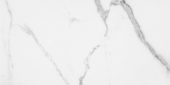 Statuario Venezia Honed 24X48 | Quality Carpet Inc.