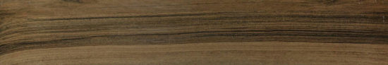 Vivid Vintage 6X36 | Quality Carpet Inc.
